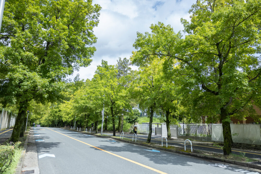 近隣の風景│吹田市・北千里の小児科・内科「えちごクリニック」